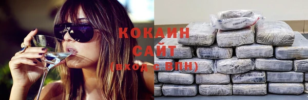 mdpv Горняк