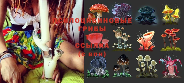 мет Горно-Алтайск