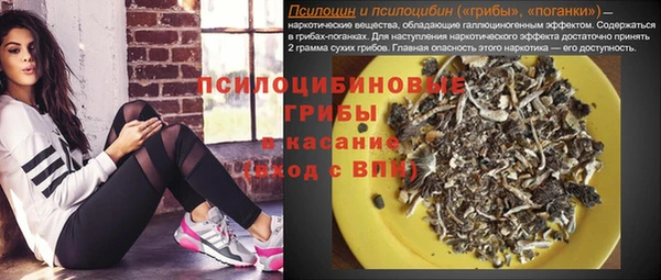 альфа пвп Горнозаводск