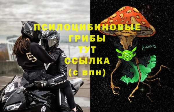 трава Хадыженск