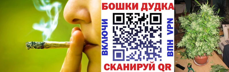Марихуана планчик  Зима 